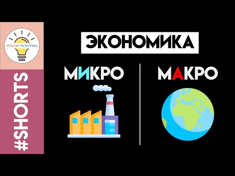 Video: Ko pēta mikroekonomika?