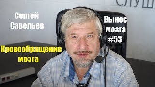 «Кровообращение мозга» Сергей Савельев (Вынос мозга #53)