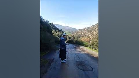 صلاة التراويح ما تيسر من سورة الأنعام