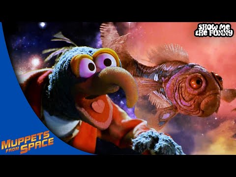 Gonzo Goes To