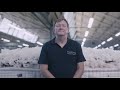 Vispring Factory - Where Great Sleep is Crafted by Hand