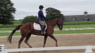 Kentucky Clique Ht 2017 - Starter