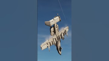 Was Just Trying to Get a Better View… Almost Met My Bandit