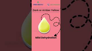 What Your Urine Color Reveals About Your Health | Urine Color Chart Explained | Sankhya Hospitals What Your Urine Color Reveals About Your Health | Urine Color Chart Explained | Sankhya Hospitals