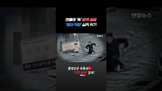 Thumbnail for [BlaccTV] 맨홀에 '푹' 발목 골절…‘꿈의 직장’ 실직 위기 #shorts