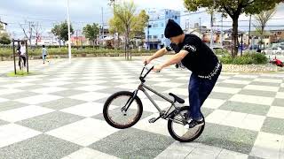 Landscapes Two - BMX Flatland