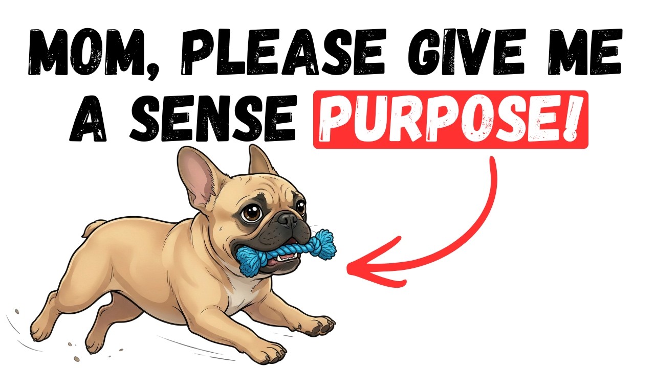 10 Things Your Dog Secretly Loves That You Keep Ignoring
