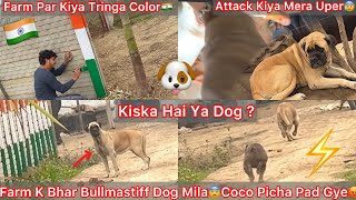 Farm Par Ata He Mila Surprisebullmastiff Dog Milacoco Picha Bhag Gye Uska Mera Uppr Hua Attack