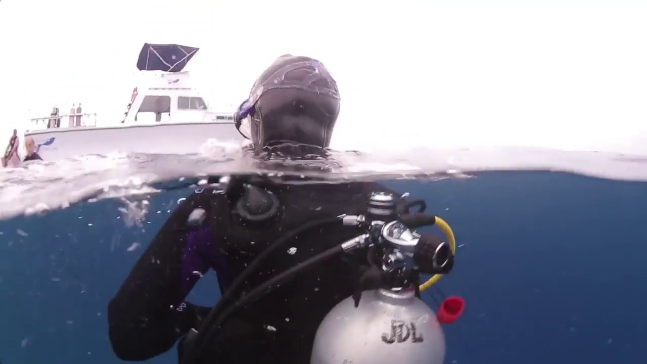 Aqua Lung i550 Dive Computer Review LeisurePro YouTube
