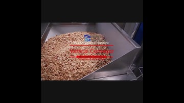 Peanuts Chopper Machine Test Before Shipping Vertical Conveyor and Hopper