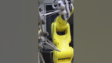 Our clients appreciate that our robotic systems easily integrate into their production line!