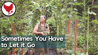 Sometimes You Have to Let it Go