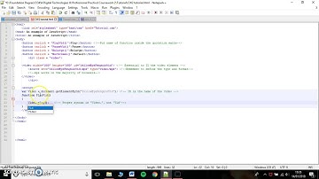 JavaScript functions for a HTML video element
