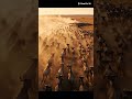 Herds running #wildlife