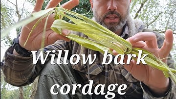 How to make cordage from Willow inner bark