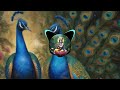 Krishna Melody