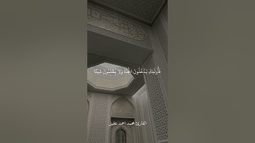 سورة مريم الآيات (59-63) القارئ محمد احمد عقيل #قرآن #سورة_مريم