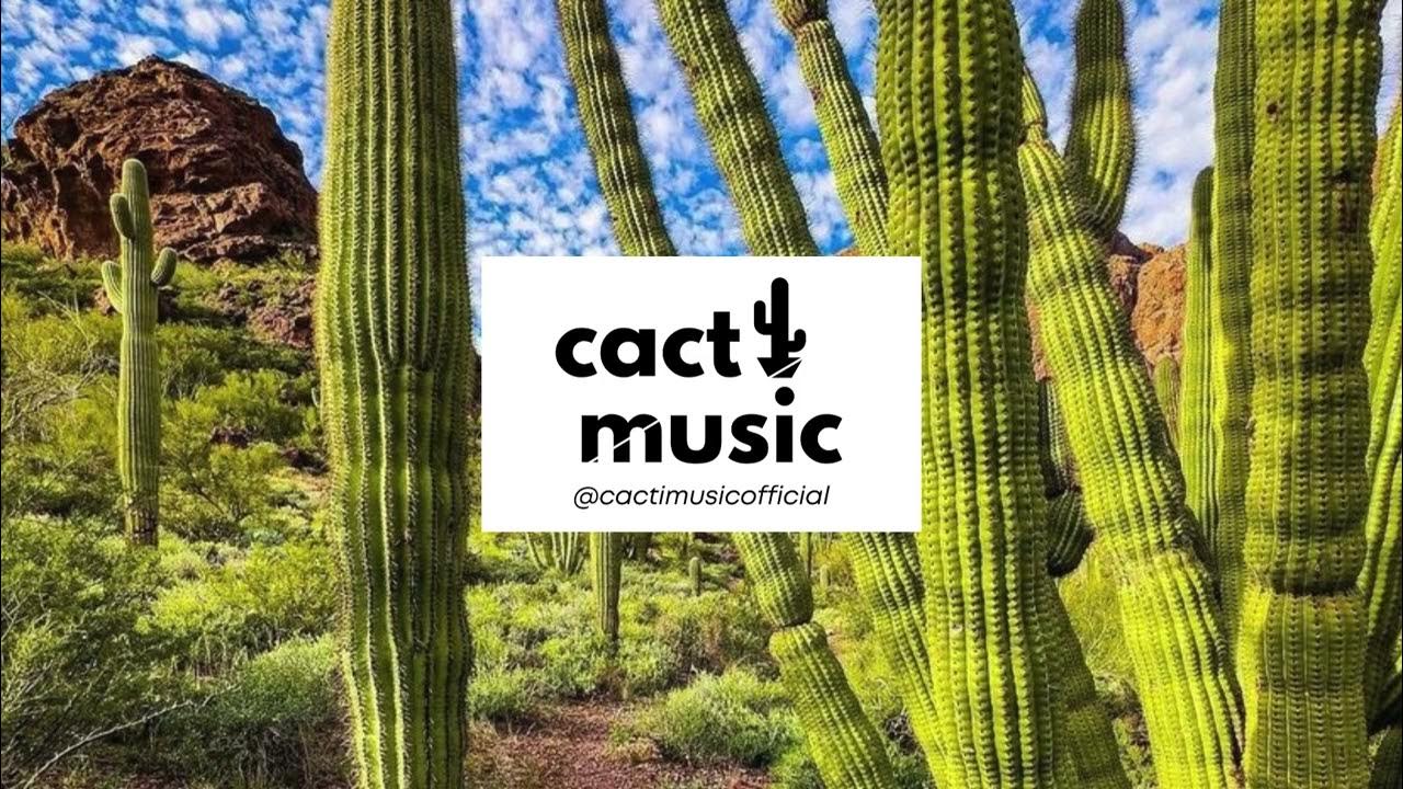 фон для синема 4д.