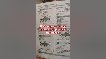 B.Sc. 3rd Year Zoology Practical File in Hindi Download PDF | Final Year Zoology Practical #mp #yt