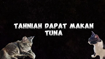 Membuat lagu untuk kucing #kucing #kesayanganku