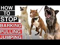 How To Train Your Dog To Stop Leash Pulling, Stop Barking, and Stop Jumping!