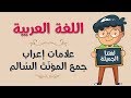 اللغة العربية | علامات إعراب جمع المؤنّث السّالم