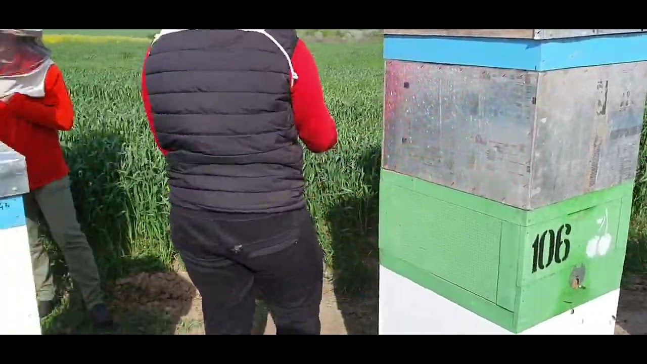 (15.05.2023) PRODUCȚII MARI CU APICULTORI BUNI (FAMILIA BLOȘENCO)