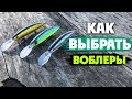 5 Ошибок при Выборе Воблеров. Какие Воблеры на Щуку выбрать?