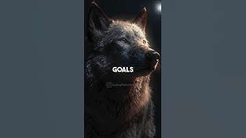Thumbnail of Discipline is EVERYTHING