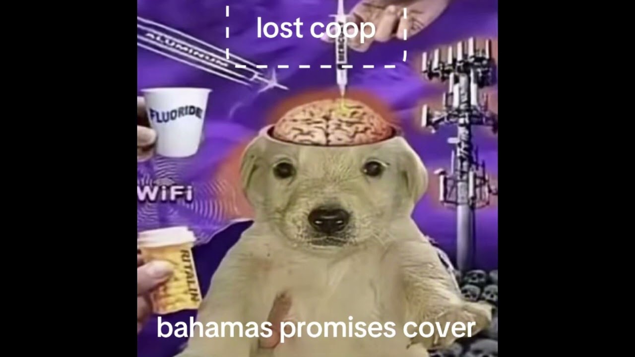 lost coop - bahamas promises (drake cover)