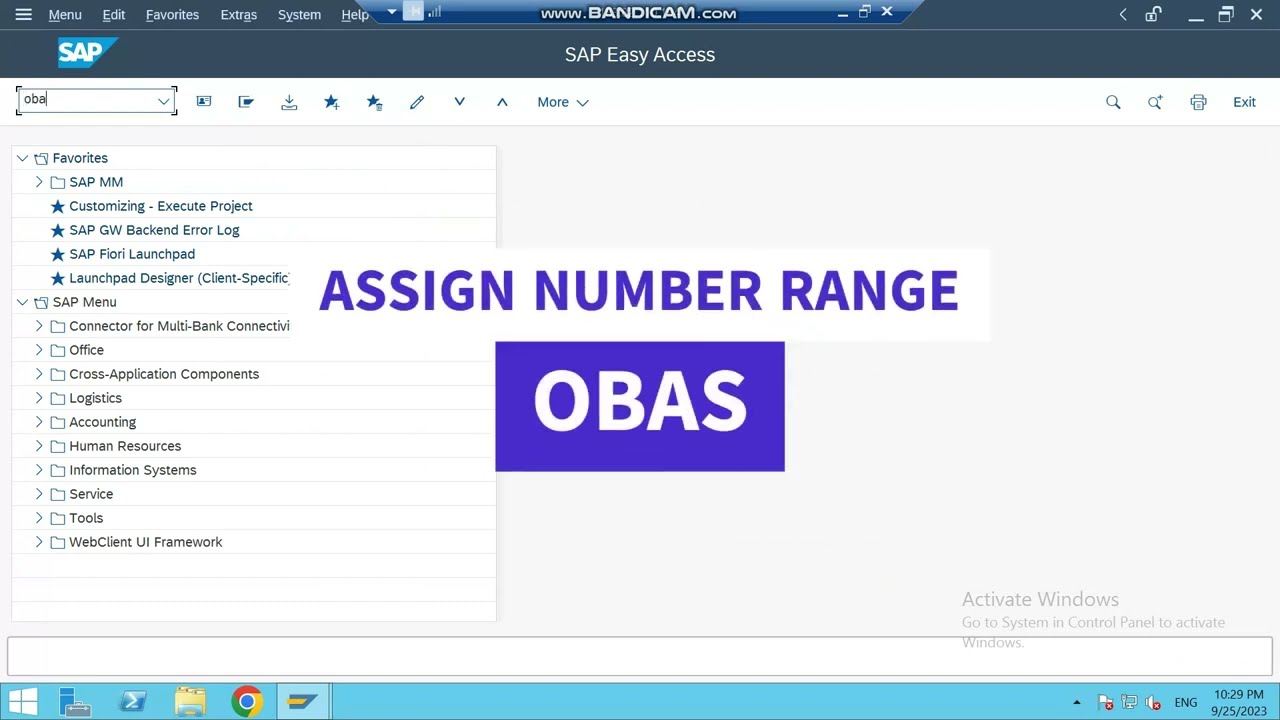 How to Create and Assign Number Range for Vendor Account Groups | SAP ...