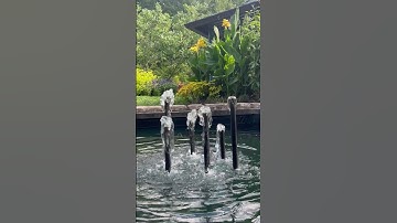 Meditation for Grief and Loss with Lisa Danahy