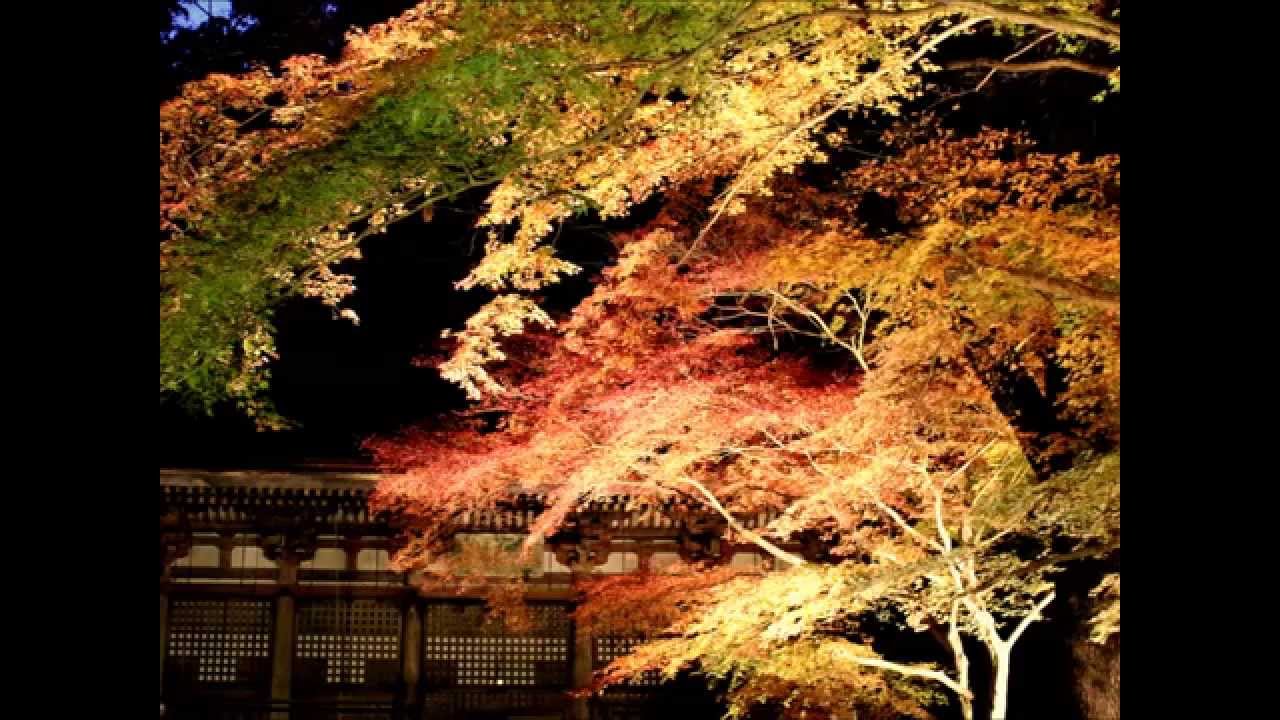 室生寺 奈良 21年紅葉ライトアップ 見頃情報 Amatavi