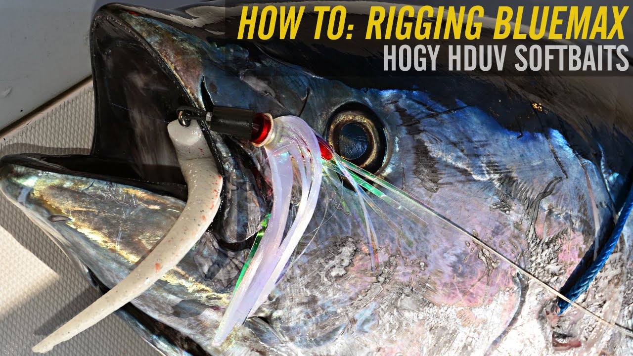 Rigging the Joe Shute Hogy Bluemax with Soft Bait Tails 