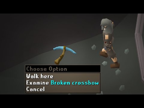 I am now immortalized in Runescape