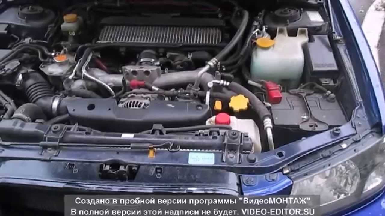 Форестер каталог дром