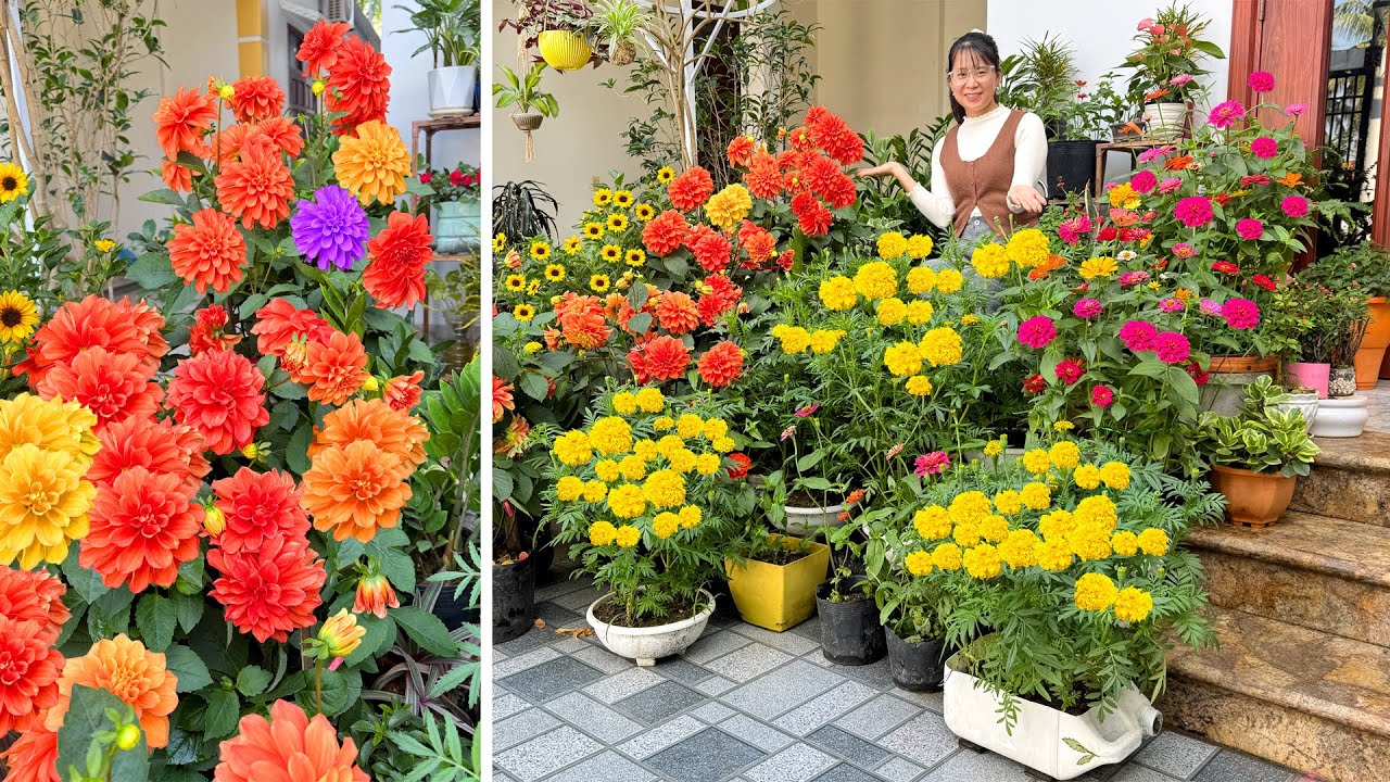 Хотите обновить свой палисадник? Вот отличное предложение!