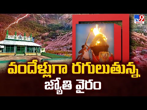 వందేళ్లుగా రగులుతున్న జ్యోతి వైరం | Tamil Nadu - TV9 - TV9