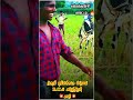 💋🔥கள்ளக்குறிச்சி காளி அகரம் ஜல்லிக்கட்டு பேரவை. ❤
