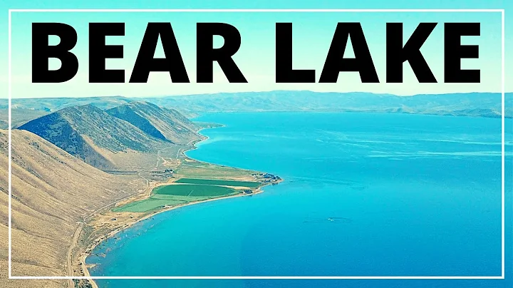What lives in Bear Lake Utah? (2023)