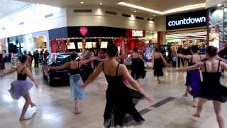 The Sleeping Beauty At Bayfair