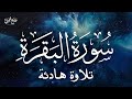 Surat Al-Baqarah  | سورة البقرة كاملة بصوت القارئ وديع اليمني