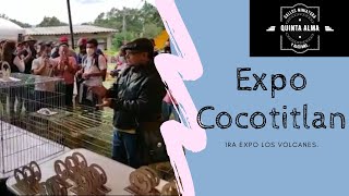 Expo Cocotitlan, expo los volcanes.