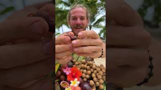 Opening the Most Beautiful Fruit
Top 3 fruits Id put on every bucket list!
🔥 Go to our STORIES now to see our daily life!
#fruit #rawvegan #veganfood #foodie #foodporn Opening the Most Beautiful Fruit