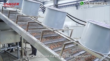 Cocoa Powder Processing Machine - Cocoa Processing Factory