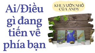 Ai/Điều gì đang tiến về phía bạn {Thời vận/Con người tốt xấu} | Chọn 1 tụ bài | Xem tarot