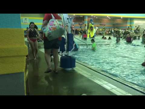Fun at pelican