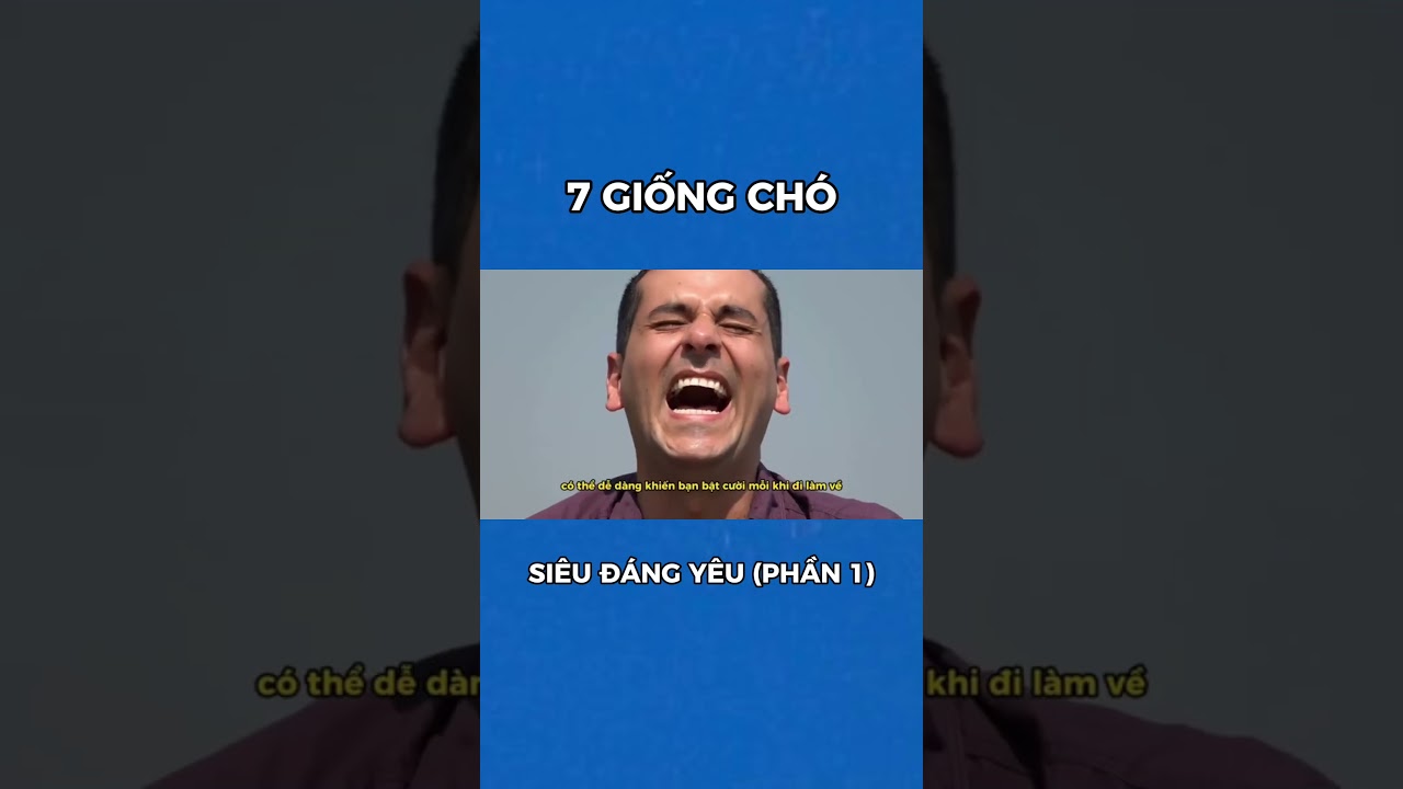 Top 7 Giống Chó Đáng Yêu Siêu Cấp Vô Địch Mà Bạn Không Thể Cưỡng Lại (Phần 2) | Bác Sĩ Trung