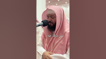 تلاوة بديعة بصوت القارئ: وديع اليمني (لا يسخر قوم من قوم)#وديع_اليمني #الحجرات #اكسبلور #راحة_نفسية