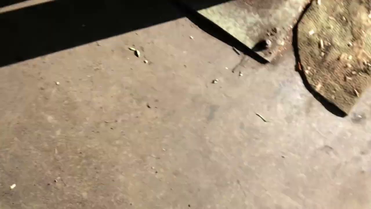 Разборка Renault - Scenic 1996-2002, 1,9 (VIN: VF1JA050525210057)  38302